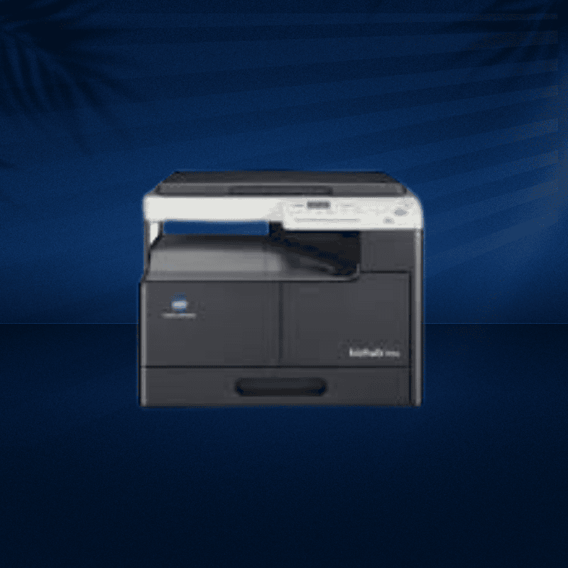 Untitled 800 x 800 px 5